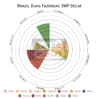 Brazil Duas Fazendas SWP Decaf