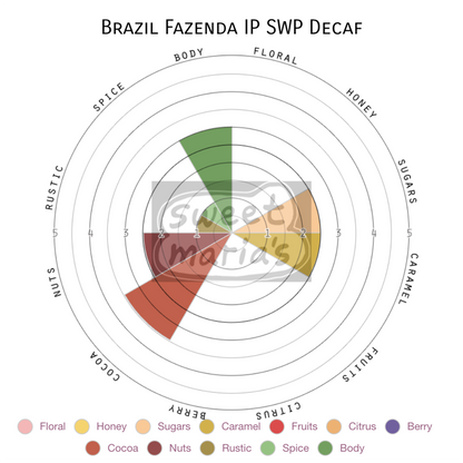 Brazil Fazenda IP SWP Decaf