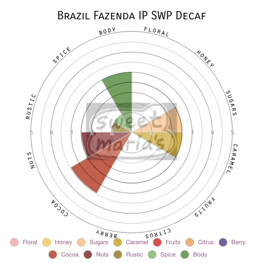 Brazil Fazenda IP SWP Decaf