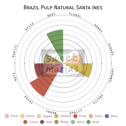 Brazil Pulp Color Brazil Pulp Natural Santa Ines – Carlo's Coffee Roasting